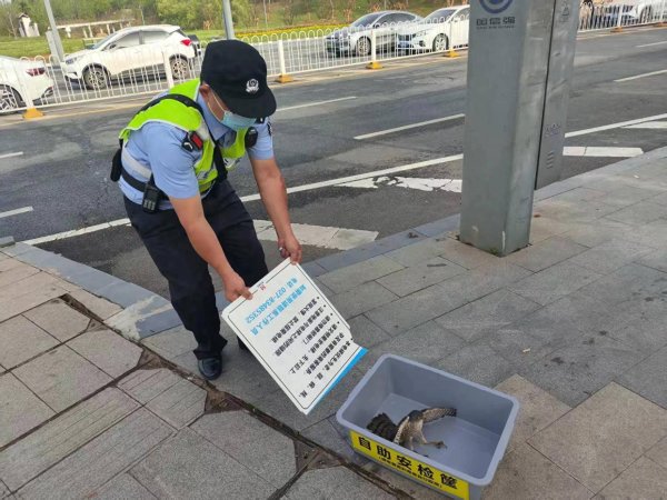 云燚网 武汉：“小可爱”“做客”地铁站 警民合力暖心救助