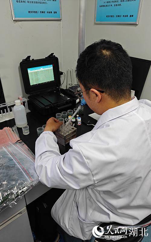 上上通 擦亮汉产蔬菜“新名片” 武汉农业部门“上门体检”