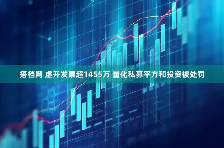 搭档网 虚开发票超1455万 量化私募平方和投资被处罚