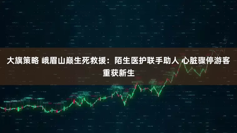 大旗策略 峨眉山巅生死救援：陌生医护联手助人 心脏骤停游客重获新生